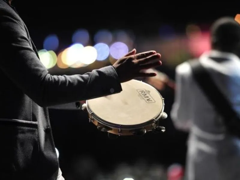 Imagem Os Melhores Cantores de Pagode e Samba do Rio de Janeiro