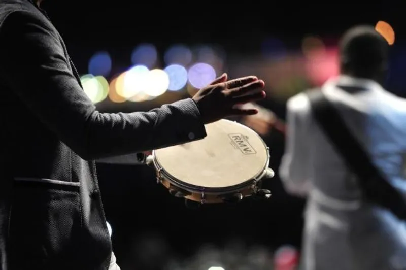 Imagem Os Melhores Cantores de Pagode e Samba do Rio de Janeiro